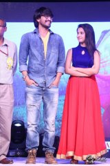 Seethamma Andaalu Raamayya Sithraalu Platinum Disc Function